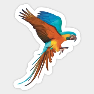 Gorgeous Blue and Gold Macaw illustration, realistically drawn display it’s beautiful colours. Great bird lovers gift. Sticker